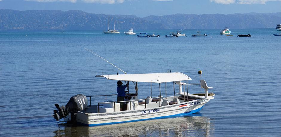 Cabinas Jimenez Puerto Jiménez Eksteriør bilde